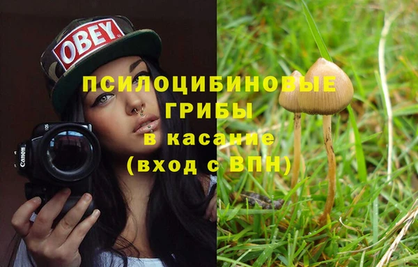 марки nbome Алзамай